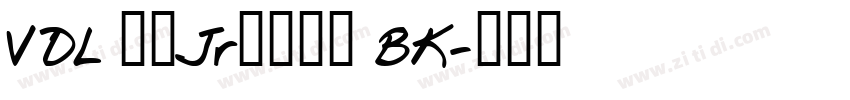 VDL ロゴJrブラック BK字体转换